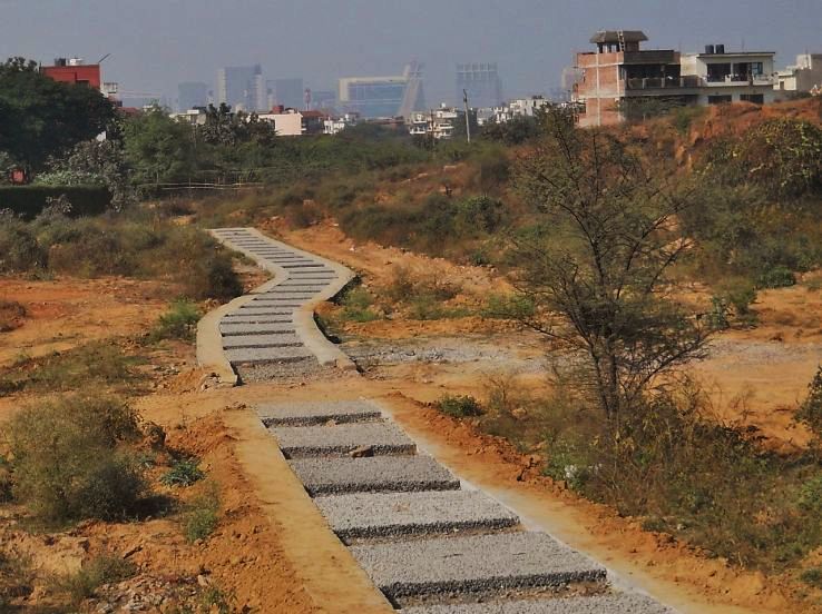 4. Aravalli Biodiversity Park